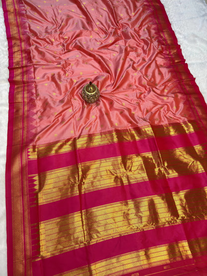 IP005 Erkal Paithani!