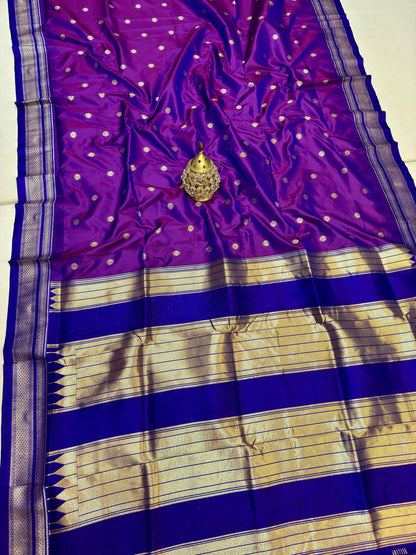 IP005 Erkal Paithani!