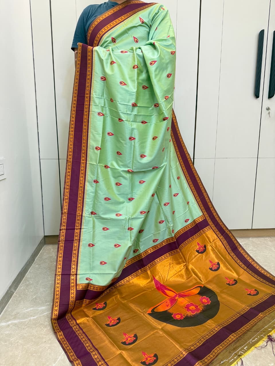 Diya Pallu Paithani ❤️