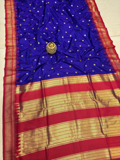 IP005 Erkal Paithani!