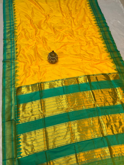 IP005 Erkal Paithani!