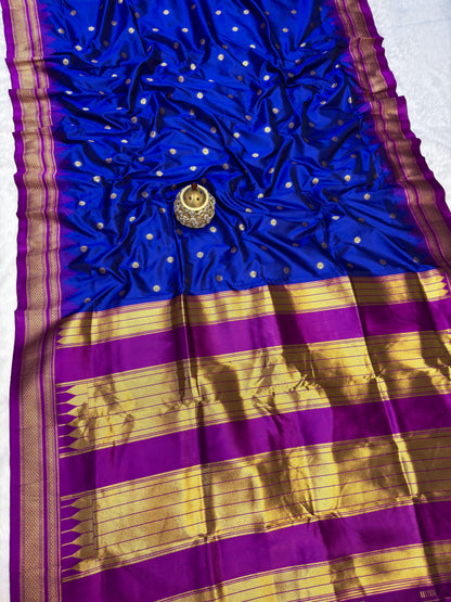 IP005 Erkal Paithani!