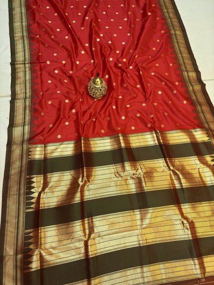 IP005 Erkal Paithani!