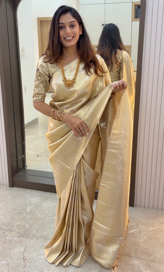 DB009 Designer Banarasi Saree