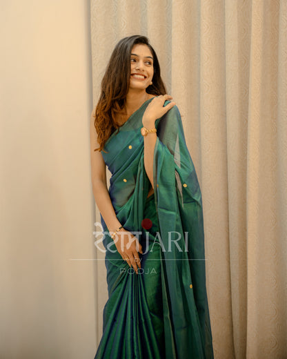 RT001 Raga Tissue Saree!